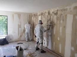 Mold Odor Removal Services in Wyndmoor, PA